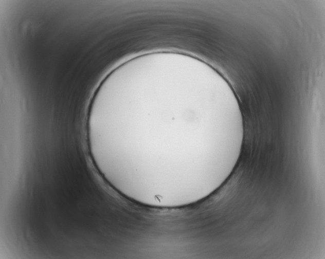 X0000096171534200802151425