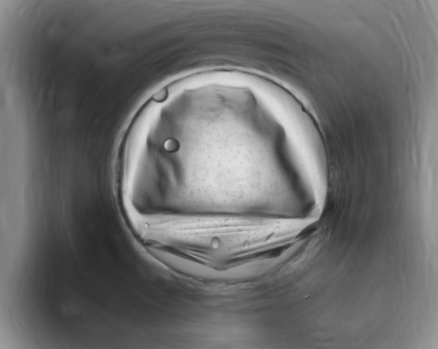 X0000096171535200802151425