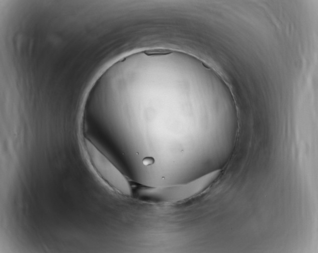 X0000096171536200802151425