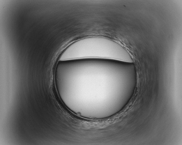 X0000096180005200801180900