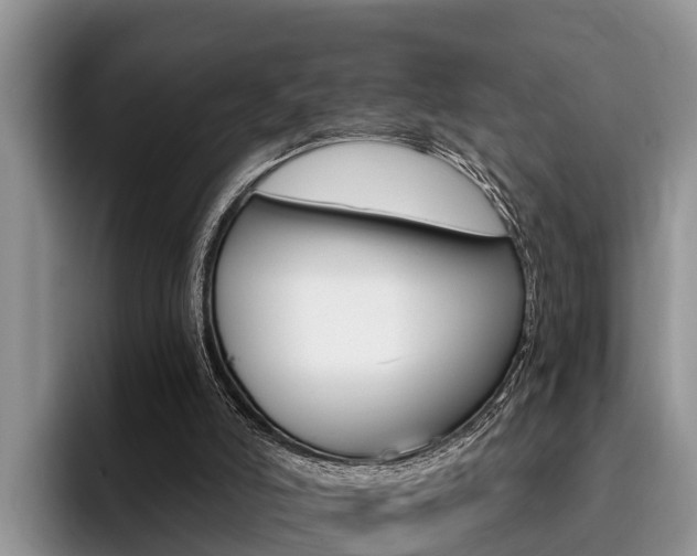 X0000096180006200801180900
