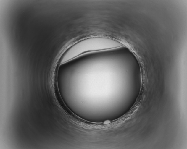 X0000096180007200801180900