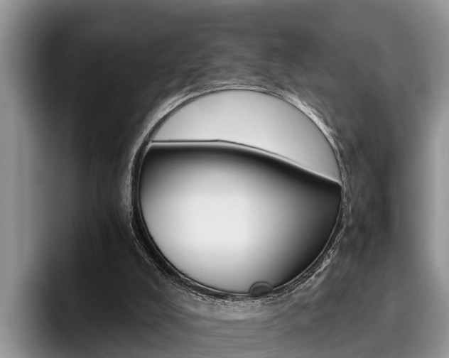 X0000096180008200801180859