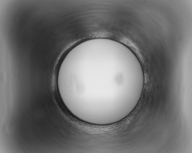X0000096180012200801180859