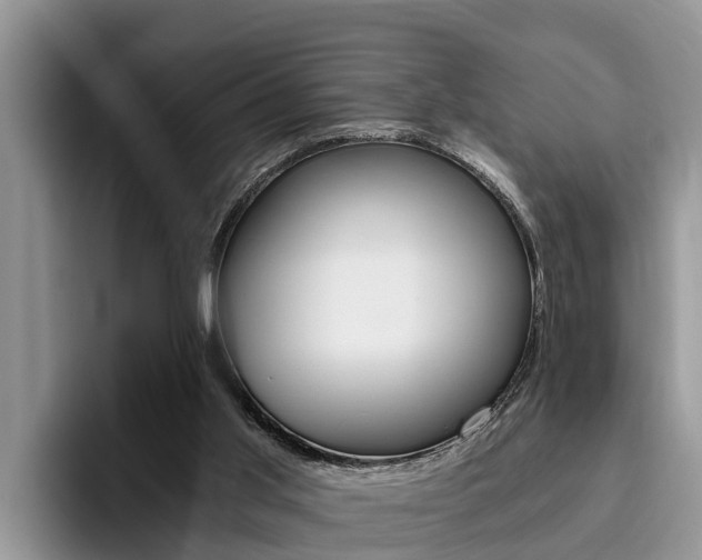 X0000096180013200801180859