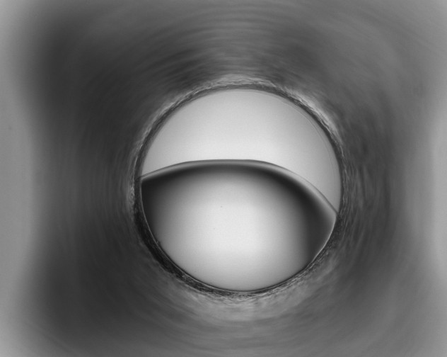 X0000096180015200801180859