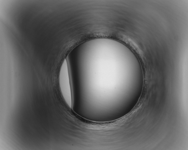 X0000096180017200801180859