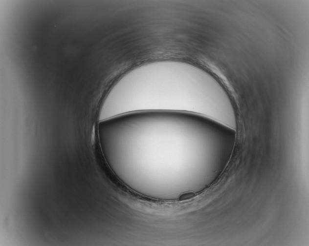 X0000096180019200801180859