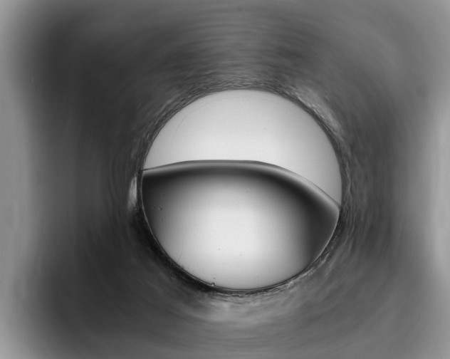 X0000096180021200801180859