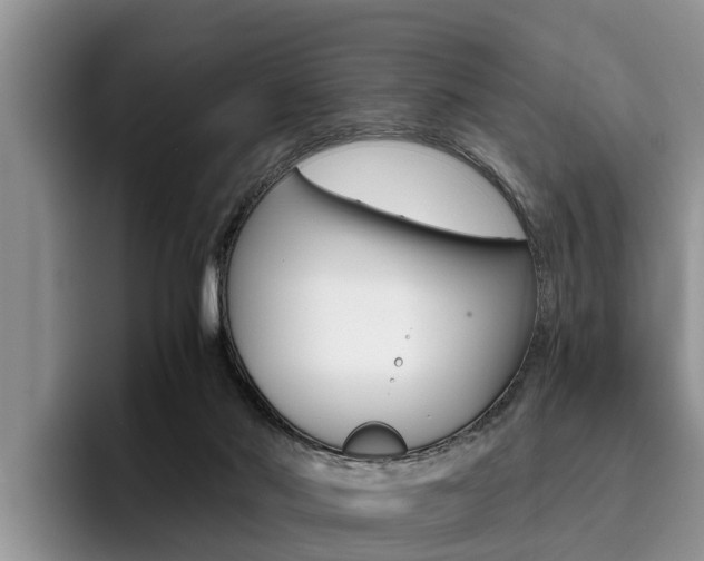 X0000096180022200801180859