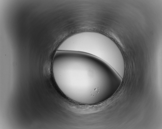 X0000096180023200801180859