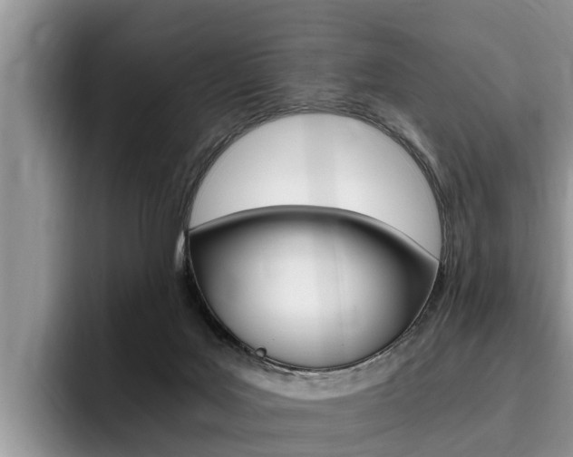 X0000096180027200801180859