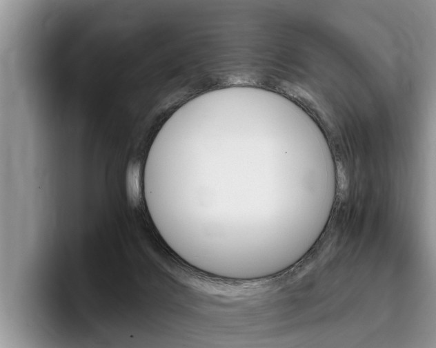 X0000096180028200801180859