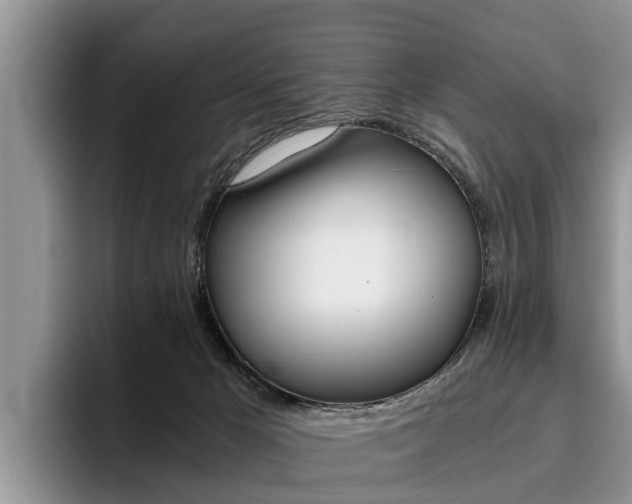 X0000096180029200801180859