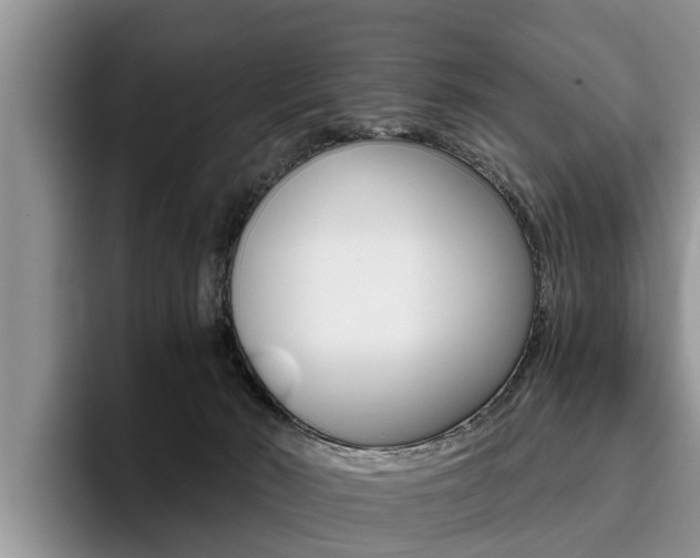 X0000096180030200801180859