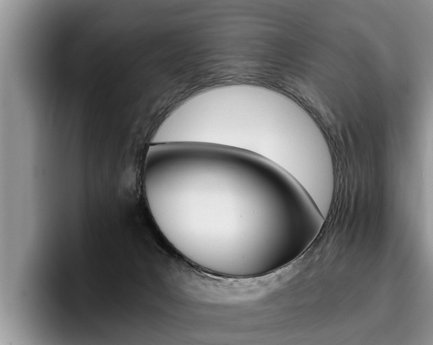 X0000096180031200801180859