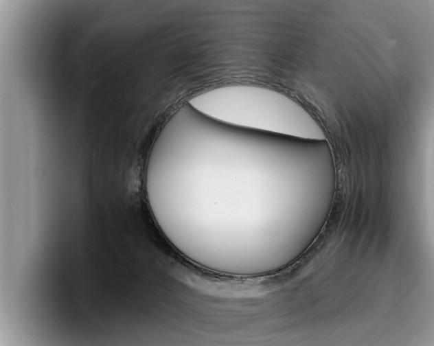 X0000096180032200801180859