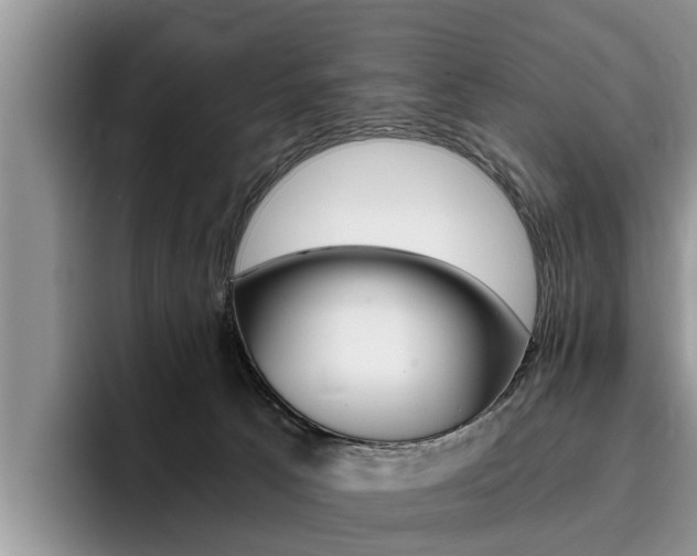 X0000096180033200801180859