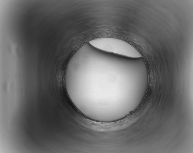 X0000096180034200801180859