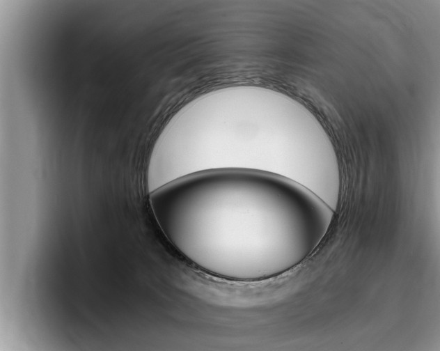 X0000096180035200801180859