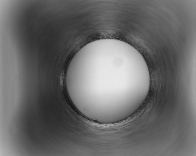 X0000096180038200801180859