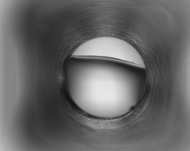 X0000096180040200801180859