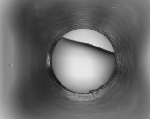 X0000096180042200801180859
