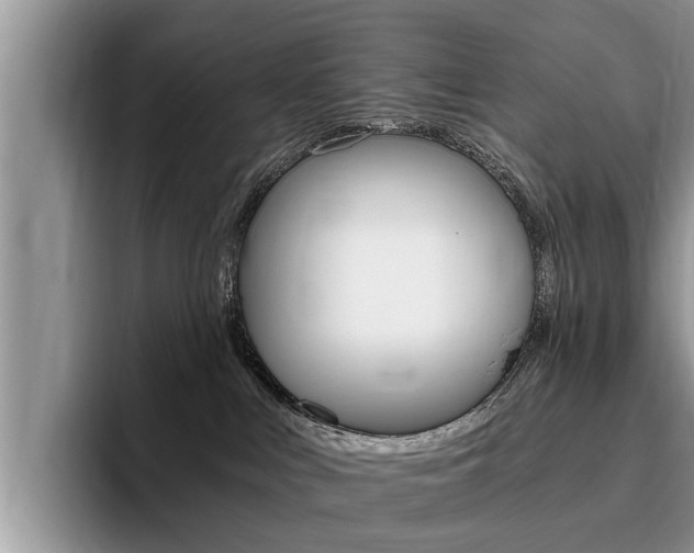 X0000096180043200801180859