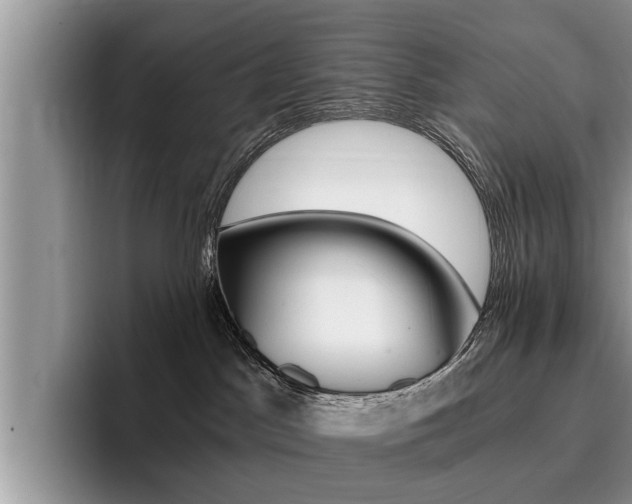 X0000096180045200801180859