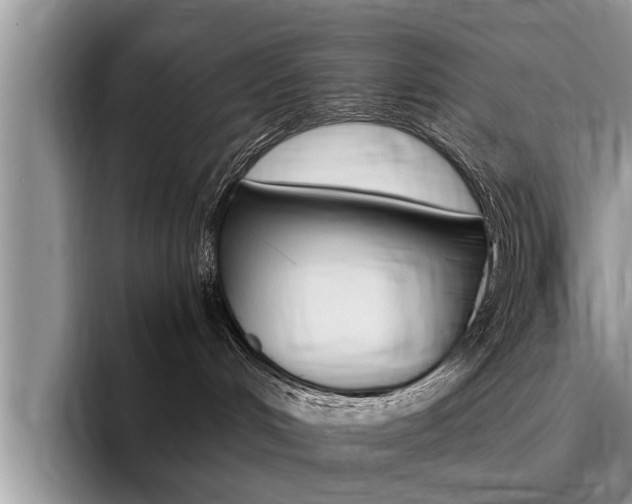 X0000096180048200801180859