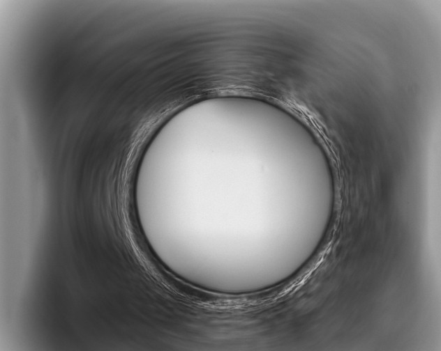 X0000096180049200801180858