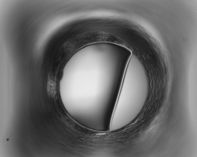 X0000096180050200801180858