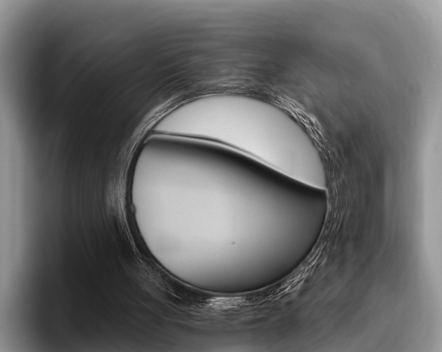 X0000096180051200801180858