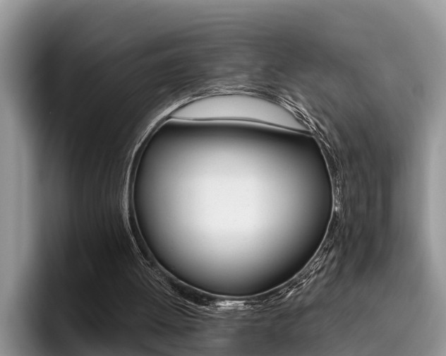 X0000096180052200801180858
