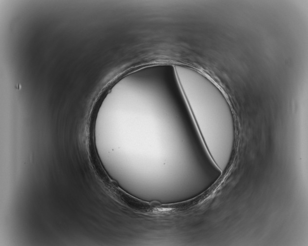 X0000096180055200801180858