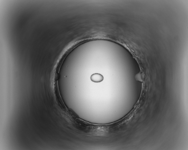 X0000096180056200801180858