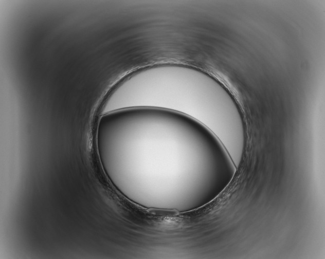 X0000096180060200801180858
