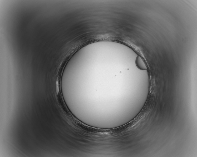 X0000096180061200801180859