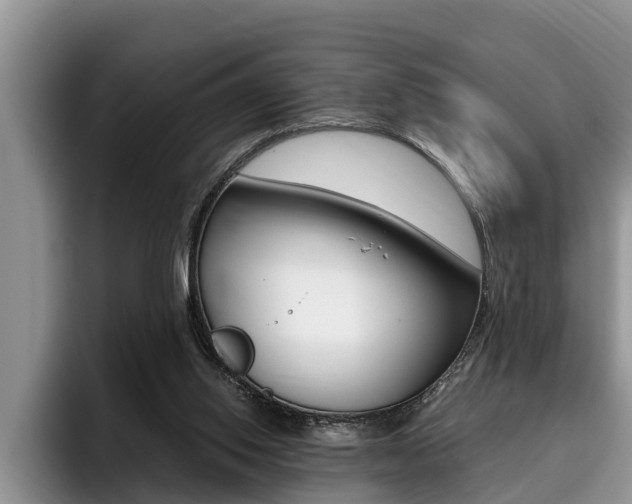 X0000096180062200801180859