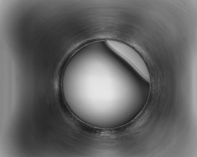 X0000096180064200801180859