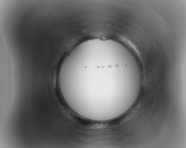 X0000096180065200801180859