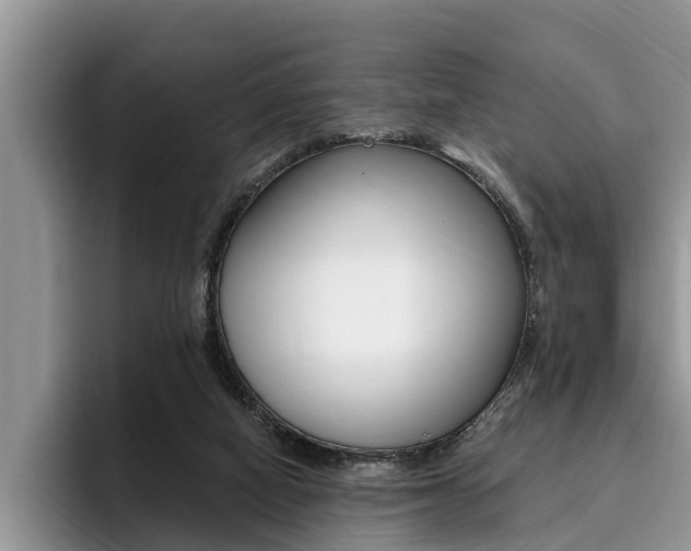 X0000096180066200801180859