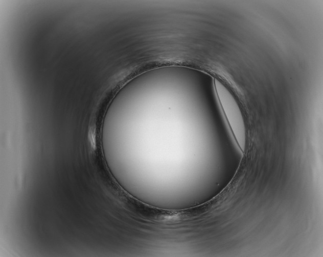 X0000096180068200801180859
