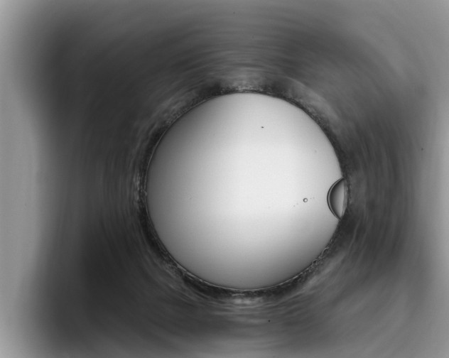 X0000096180073200801180859