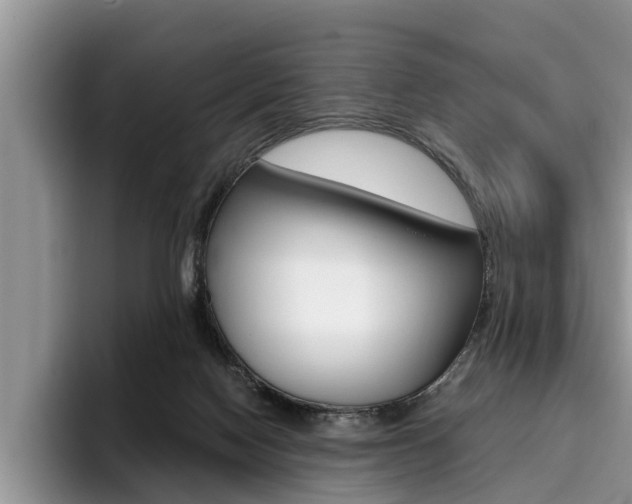 X0000096180074200801180859