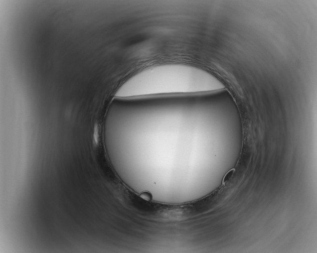 X0000096180075200801180859