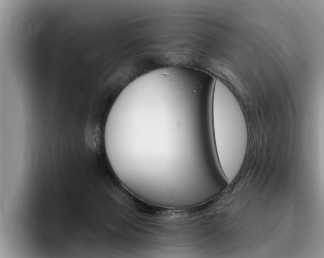 X0000096180077200801180859