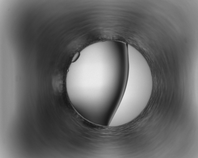 X0000096180080200801180859