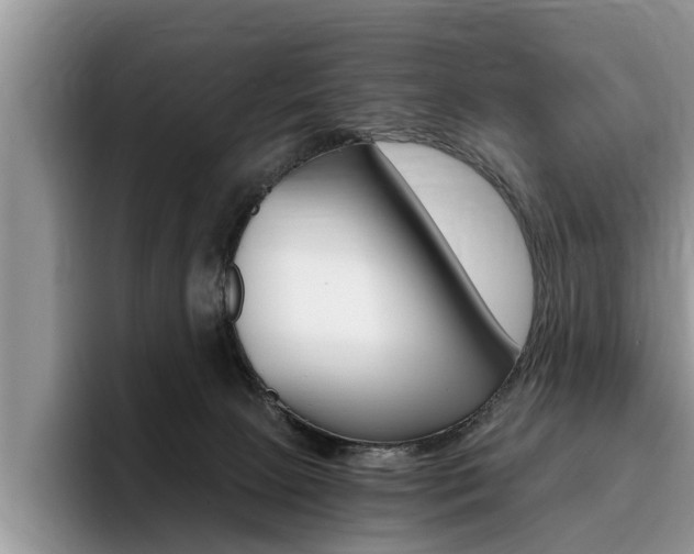 X0000096180081200801180859