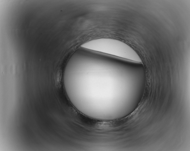 X0000096180082200801180859